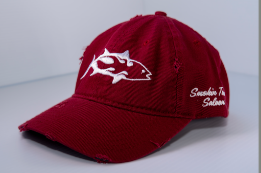 LBJ Baseball hats
